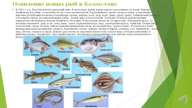 Появление новых рыб в Казахстане