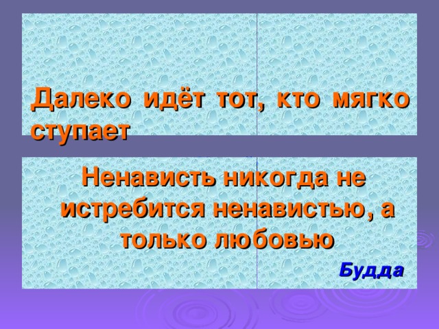 Далеко идёт тот, кто мягко ступает   Китайская пословица     Ненависть никогда не истребится ненавистью, а только любовью  Будда