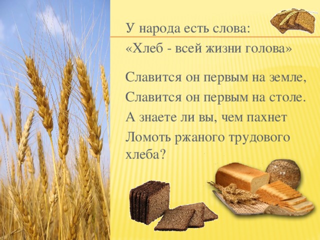 У народа есть слова: «Хлеб - всей жизни голова» Славится он первым на земле, Славится он первым на столе. А знаете ли вы, чем пахнет Ломоть ржаного трудового хлеба?