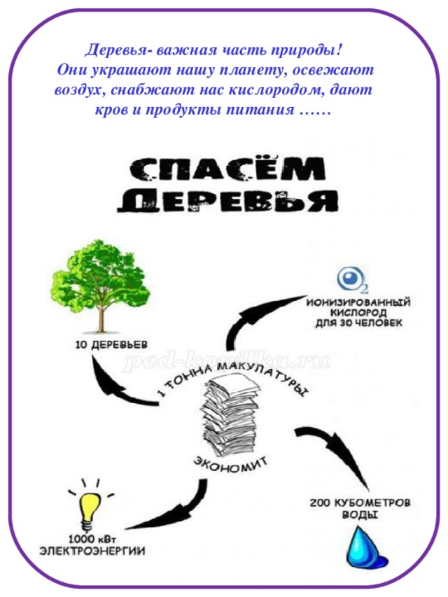 Деревья- важная часть природы!  Они украшают нашу планету, освежают воздух, снабжают нас кислородом, дают кров и продукты питания ……