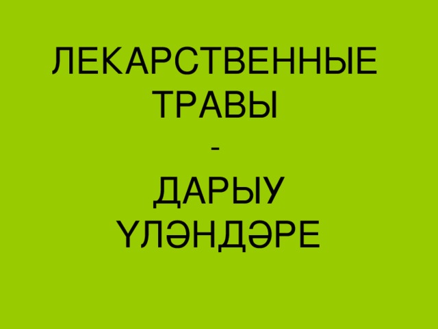 ЛЕКАРСТВЕННЫЕ ТРАВЫ  - ДАРЫУ ҮЛӘНДӘРЕ