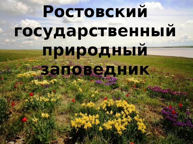 Ростовский государственный природный заповедник