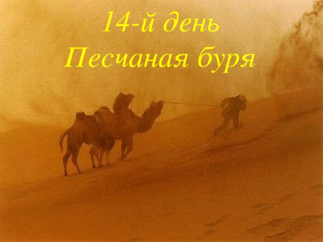 14-й день  Песчаная буря
