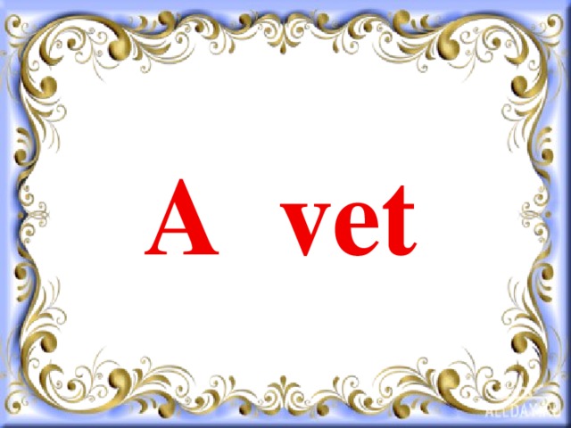 A vet