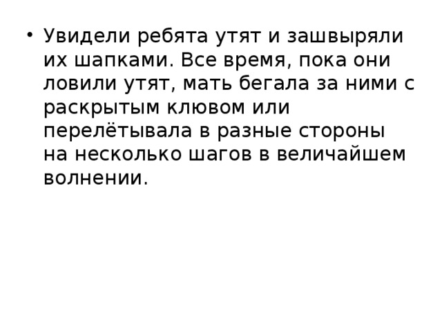 Увидели ребята утят и зашвыряли их шапками. Все время, пока они ловили утят, мать бегала за ними с раскрытым клювом или перелётывала в разные стороны на несколько шагов в величайшем волнении.