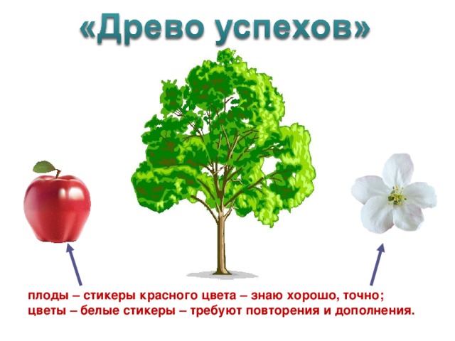 плоды – стикеры красного цвета – знаю хорошо, точно; цветы – белые стикеры – требуют повторения и дополнения.