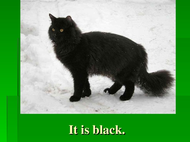 It is black.