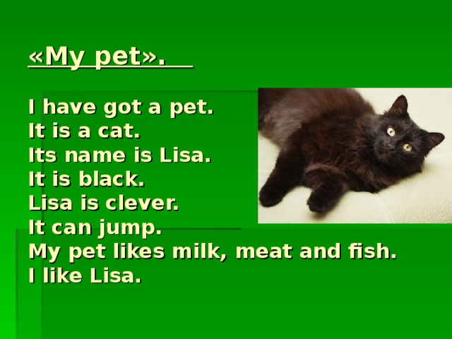« My pet ».   I have got a pet.  It is a cat.  Its name is Lisa.  It is black.  Lisa is clever.  It can jump.  My pet likes milk , meat and fish.  I like Lisa.