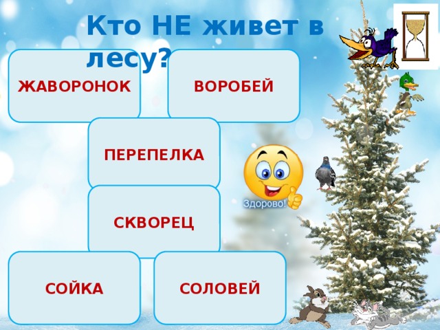 Кто НЕ живет в лесу? ЖАВОРОНОК ВОРОБЕЙ ПЕРЕПЕЛКА СКВОРЕЦ СОЛОВЕЙ СОЙКА