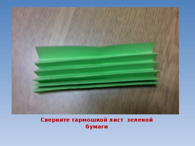 Сверните гармошкой лист зеленой бумаги