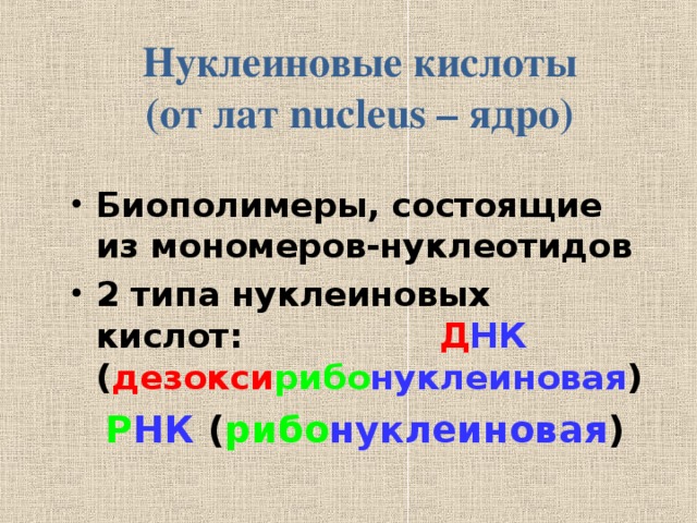 Нуклеиновые кислоты  (от лат nucleus – ядро) Биополимеры, состоящие из мономеров-нуклеотидов 2 типа нуклеиновых кислот:  Д НК ( дезокси рибо нуклеиновая )  Р НК ( рибо нуклеиновая )