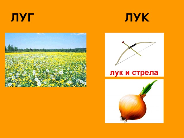 ЛУГ ЛУК