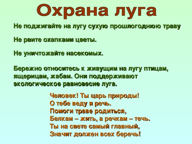 Не поджигайте на лугу сухую прошлогоднюю траву Не рвите охапками цветы. Не уничтожайте насекомых. Бережно относитесь к живущим на лугу птицам, ящерицам, жабам. Они поддерживают экологическое равновесие луга. Человек! Ты царь природы!  О тебе веду я речь.  Помоги траве родиться,  Белкам – жить, а речкам – течь.  Ты на свете самый главный,  Значит должен всех беречь!