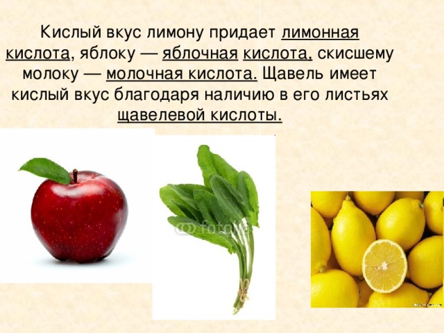 Кислый вкус лимону придает лимонная кислота , яблоку — яблочная  кислота, скисшему молоку — молочная кислота. Щавель имеет кислый вкус благодаря наличию в его листьях щавелевой кислоты.