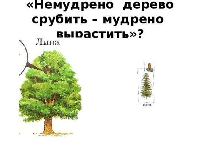 «Немудрено дерево срубить – мудрено вырастить»?