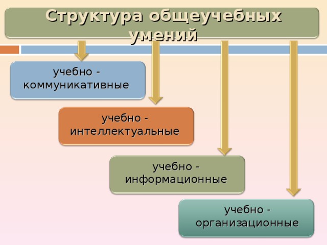 Структура общеучебных умений учебно - коммуникативные учебно - интеллектуальные учебно - информационные учебно - организационные