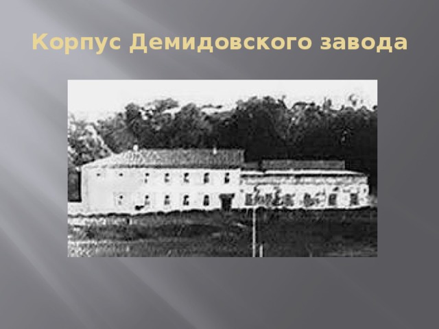 Корпус Демидовского завода