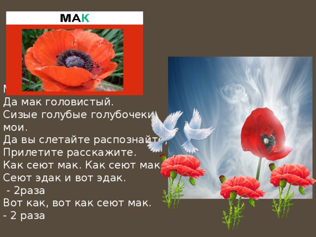 Слова маков