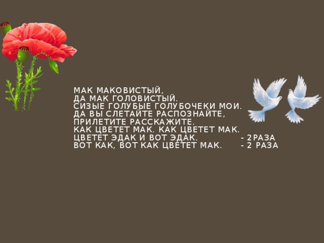 Мак маковистый,  Да мак головистый.  Сизые голубые голубочеки мои.  Да вы слетайте распознайте,  Прилетите расскажите.  Как цветет мак. Как цветет мак.  Цветет эдак и вот эдак. - 2раза  Вот как, вот как цветет мак. - 2 раза