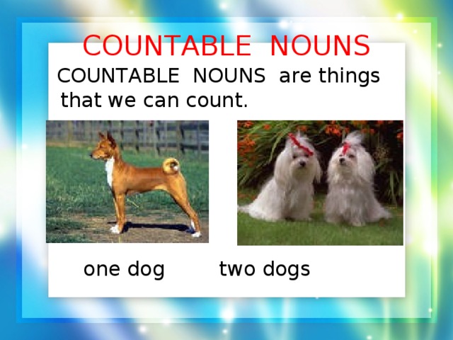 СOUNTABLE NOUNS  СOUNTABLE NOUNS are things that we can count.   one dog    two dogs