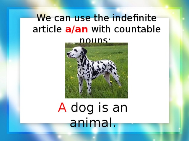 We can use the indefinite article a/an with countable nouns:   A dog is an animal.