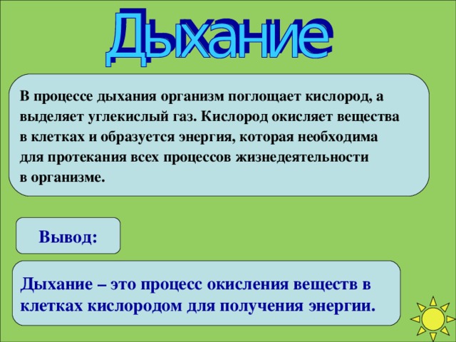 В процессе дыхания организм поглощает кислород, а выделяет углекислый газ. Кислород окисляет вещества в клетках и образуется энергия, которая необходима для протекания всех процессов жизнедеятельности в организме. Вывод: Дыхание – это процесс окисления веществ в клетках кислородом для получения энергии.