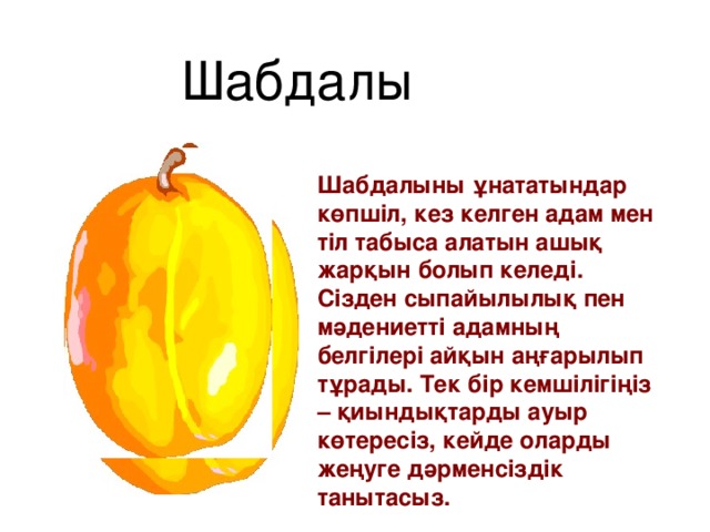 Шабдалы Шабдалыны ұнататындар көпшіл, кез келген адам мен тіл табыса алатын ашық жарқын болып келеді. Сізден сыпайылылық пен мәдениетті адамның белгілері айқын аңғарылып тұрады. Тек бір кемшілігіңіз – қиындықтарды ауыр көтересіз, кейде оларды жеңуге дәрменсіздік танытасыз.