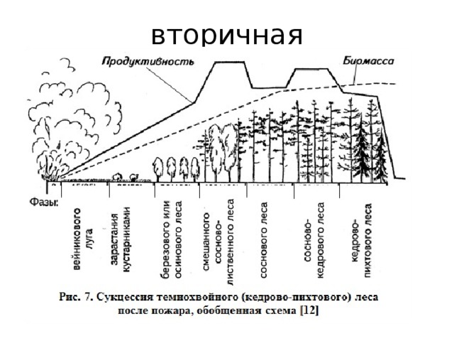 вторичная