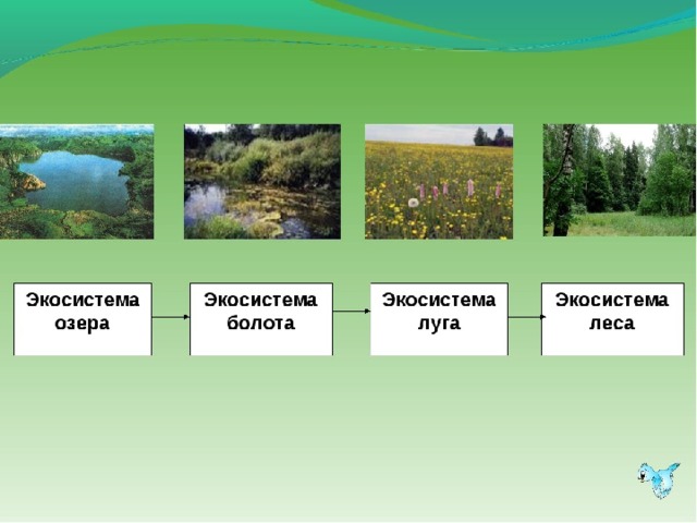 У лесного озера презентация 2 класс планета знаний