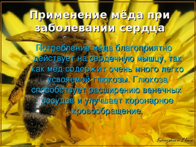 Применение мёда при заболевании сердца Потребление мёда благоприятно действует на сердечную мышцу, так как мёд содержит очень много легко усвояемой глюкозы. Глюкоза способствует расширению венечных сосудов и улучшает коронарное кровообращение.