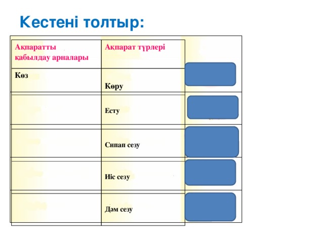 Кестені толтыр: Ақпаратты қабылдау арналары Ақпарат түрлері Көз  Көру   Есту Сипап сезу  Иіс сезу  Дәм сезу