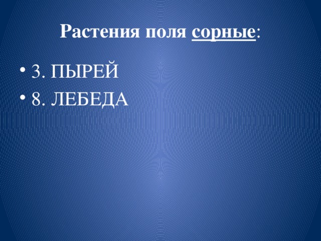 Растения поля сорные :