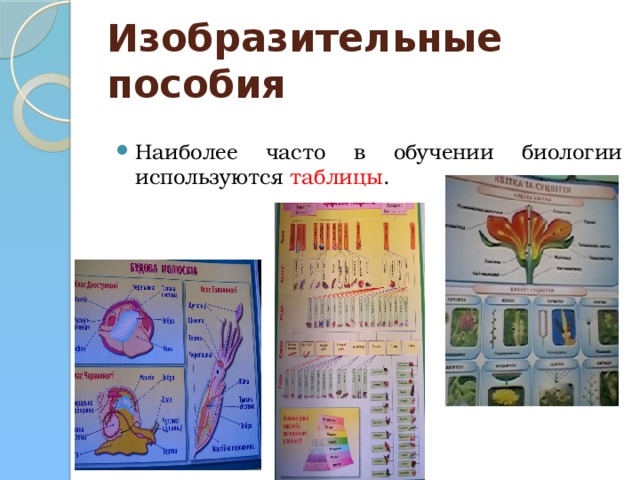 Изобразительные пособия