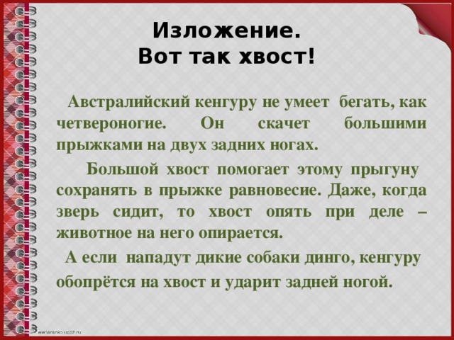 Изложение.  Вот так хвост!  Австралийский кенгуру не умеет бегать, как четвероногие. Он скачет большими прыжками на двух задних ногах.  Большой хвост помогает этому прыгуну сохранять в прыжке равновесие. Даже, когда зверь сидит, то хвост опять при деле – животное на него опирается.  А если нападут дикие собаки динго, кенгуру обопрётся на хвост и ударит задней ногой.