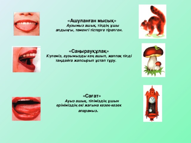 «Ашуланған мысық» Аузымыз ашық, тілдің ұшы алдыңғы, төменгі тістерге тірелген.  «Саңырауқұлақ» Күлеміз, аузымызды кең ашып, жалпақ тілді таңдайға жапсырып ұстап тұру.  «Сағат» Ауыз ашық, тіліміздің ұшын ерініміздің екі жағына кезек-кезек апарамыз .