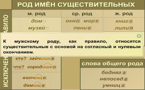 Презентация род имен существительных 5 класс разумовская