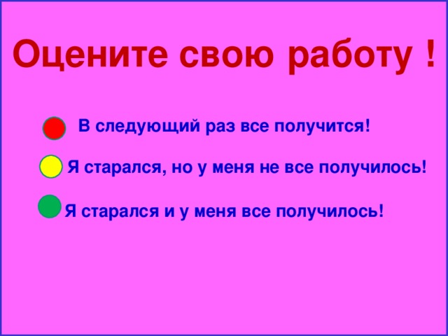 Оцените свою работу !   В следующий раз все получится!   Я старался, но у меня не все получилось!    Я старался и у меня все получилось!