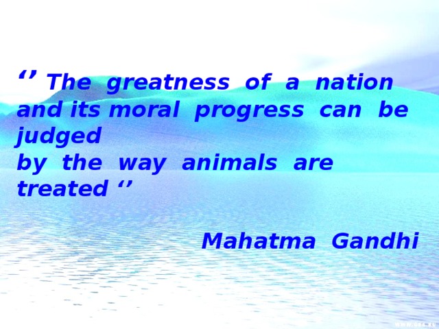 ‘’ The greatness of a nation and its moral progress can be judged by the way animals are treated ‘’  Mahatma Gandhi