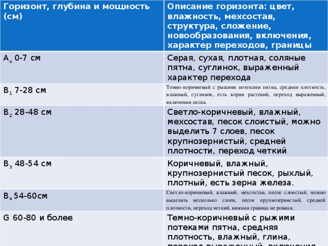 Горизонт, глубина и мощность (см) Описание горизонта: цвет, влажность, мехсостав, структура, сложение, новообразования, включения, характер переходов, границы А о 0-7 см Серая, сухая, плотная, соляные пятна, суглинок, выраженный характер перехода В 1 7-28 см Темно-коричневый с рыжими потеками пятна, средняя плотность, влажный, суглинок, есть корни растений, переход выраженный, включения песка. В 2 28-48 см Светло-коричневый, влажный, мехсостав, песок слоистый, можно выделить 7 слоев, песок крупнозернистый, средней плотности, переход четкий В 3 48-54 см Коричневый, влажный, крупнозернистый песок, рыхлый, плотный, есть зерна железа. В 4 54-60см Светло-коричневый, влажный, мехсостав, песок слоистый, можно выделить несколько слоев, песок крупнозернистый, средней плотности, переход четкий, нижняя граница не ровная. G  60-80 и более Темно-коричневый с рыжими потеками пятна, средняя плотность, влажный, глина, переход выраженный, включения песка (глеевый горизонт).