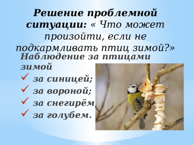 Что изменилось в поведении птиц. Наблюдение за синицей. Продолжайте наблюдение за птицами вашего города. Наблюдение за вороной зимой. Продолжайте вести наблюдение за птицами вашего.