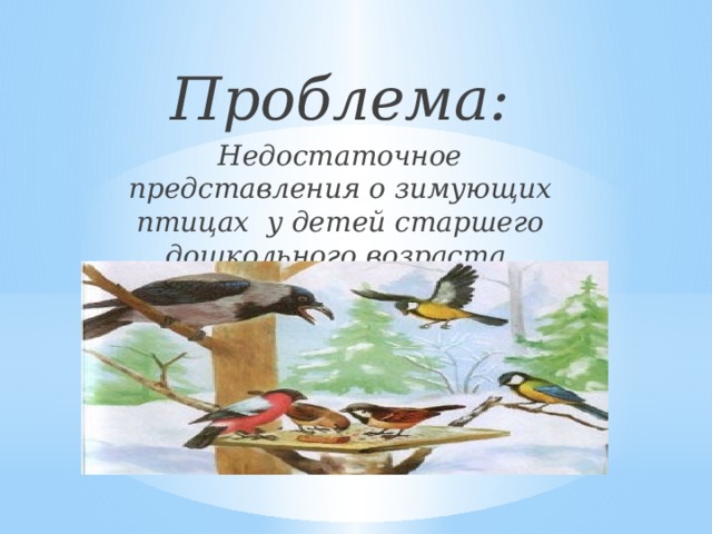 Проблема: Недостаточное представления о зимующих птицах у детей старшего дошкольного возраста.