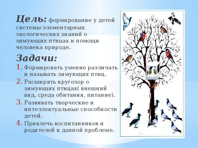 Цель:  формирование у детей системы элементарных экологических знаний о зимующих птицах и помощи человека природе. Задачи: