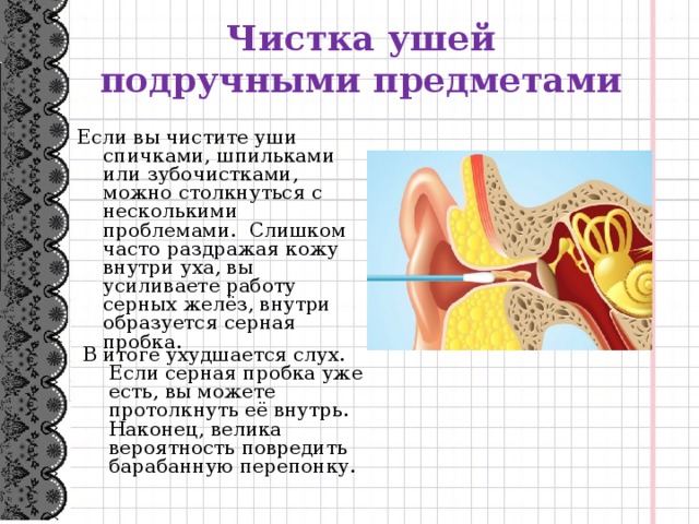Картинка уха внутри