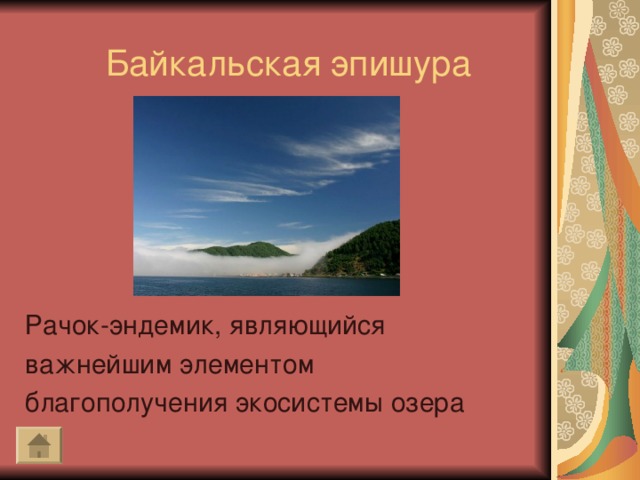 Байкальская эпишура Рачок-эндемик, являющийся важнейшим элементом благополучения экосистемы озера