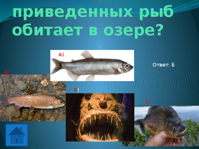 Какая из приведенных рыб обитает в озере? А) Ответ: Б Б) В ) Г)
