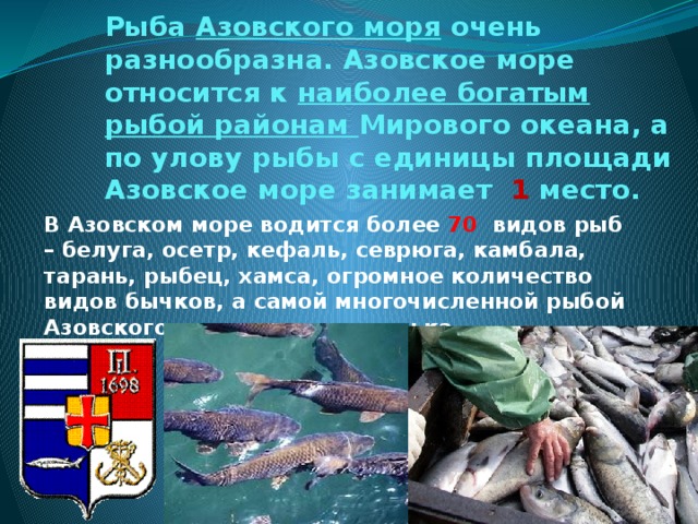 Рыба Азовского моря  очень разнообразна. Азовское море относится к наиболее богатым рыбой районам Мирового океана, а по улову рыбы с единицы площади Азовское море занимает  1  место. В Азовском море водится более 70 видов рыб – белуга, осетр, кефаль, севрюга, камбала, тарань, рыбец, хамса, огромное количество видов бычков, а самой многочисленной рыбой Азовского моря является тюлька.