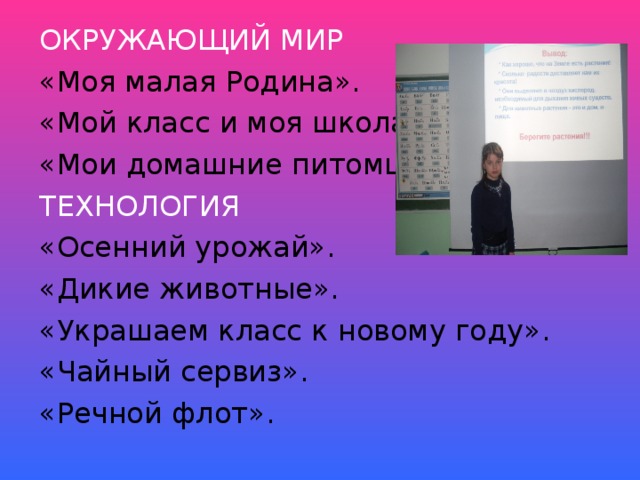 ОКРУЖАЮЩИЙ МИР «Моя малая Родина». «Мой класс и моя школа». «Мои домашние питомцы». ТЕХНОЛОГИЯ «Осенний урожай». «Дикие животные». «Украшаем класс к новому году». «Чайный сервиз». «Речной флот».