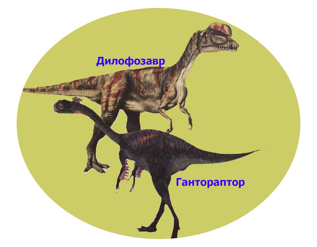 Потерянный мир динозавров проект 1 класс