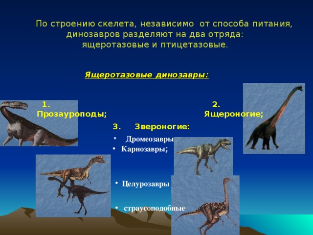 По строению скелета, независимо от способа питания, динозавров разделяют на два отряда: ящеротазовые и птицетазовые. Ящеротазовые динозавры:    1. Прозауроподы;  2. Ящероногие; 3. Звероногие: