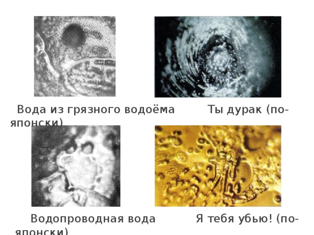 Вода из грязного водоёма Ты дурак (по-японски)  Водопроводная вода Я тебя убью! (по-японски)